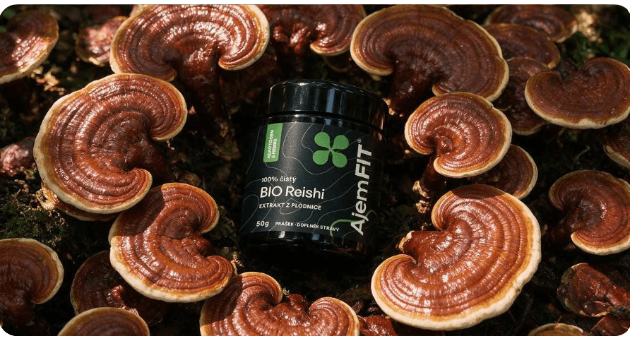 Houba reishi